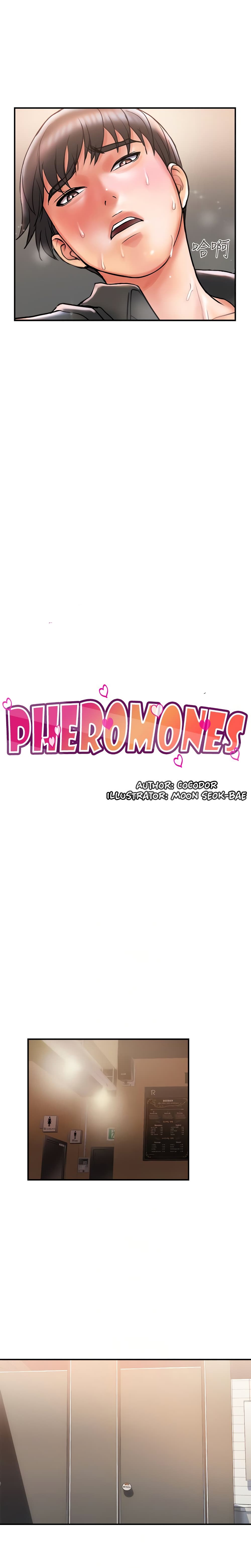 Pheromones 4 04